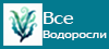 Все Водоросли